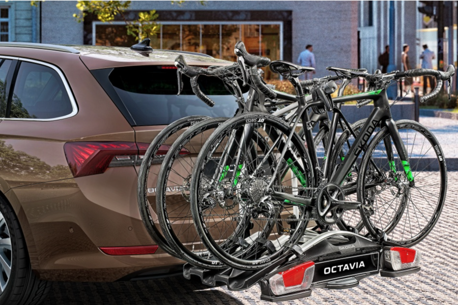 Group Transportation with Luggage and Bicycles